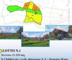 Terreno 22.260 mq con rustici a sant'alfio