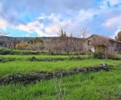 Terreno 22.260 mq con rustici a sant'alfio - 7