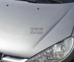 Pezzi di ricambio Peugeot 206 sw