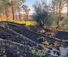 Terreno 1.600 mq con fabbricato a presa - 22