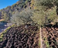 Terreno 1.600 mq con fabbricato a presa - 23