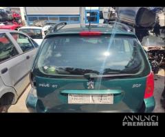 Portellone nudo PEUGEOT 307 del 2002 - 1