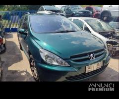 Ricambi PEUGEOT 307 1587cc benzina del 2002 - 2