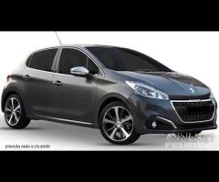 Peugeot 208 per ricambi