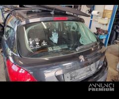 Portellone nudo PEUGEOT 207 del 2009 - 3