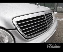 Griglia anteriore MERCEDES E 270 del 2002