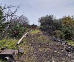 Terreno pianeggiante 6.500 mq con fabbricati - 6