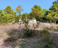 Casale antico ristrutturato con terreno 1 ettaro - 12