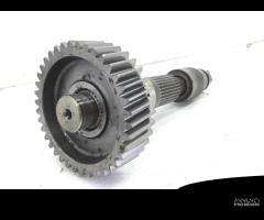 CARTER E INGRANAGGI RUOTA POSTERIORE HONDA SW-T AB - 5