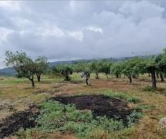 Antico casale con terreno a Piedimonte Etneo - 4