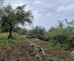 Antico casale con terreno a Piedimonte Etneo - 6