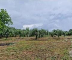 Antico casale con terreno a Piedimonte Etneo - 10