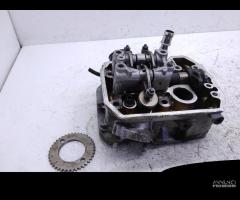 TESTA TESTATA HEAD ANTERIORE HONDA TRANSALP XL V 6 - 1