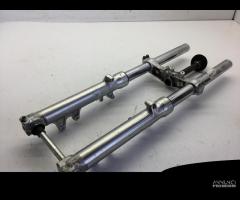 FORCELLA CON STELI DA 41 MM SUZUKI SV 650 2001 200