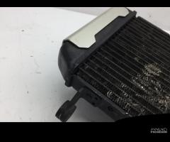 RADIATORE CON COPERCHI PROTEZIONI SUZUKI SV 650 20 - 8