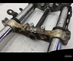 FORCELLA ANTERIORE COMPLETA SUZUKI SV 650 2001 200 - 17