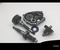 CARTER E INGRANAGGI RUOTA POSTERIORE YAMAHA X-MAX