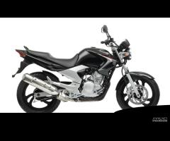 SCARICO MARMITTA YAMAHA YBR 250 2007 2011 RG021 - 16