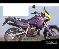 ALBERI CAMBIO CON INGRANAGGI APRILIA PEGASO 125 19 - 17