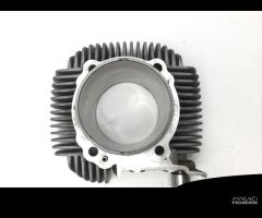 CILINDRO E PISTONE VERTICALE DUCATI MONSTER 797 80 - 8