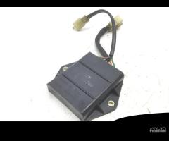 CENTRALINA CDI MOTORE SUZUKI GS 500 2003 2006 BK11 - 1