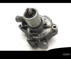 POMPA ACQUA E COPERCHIO HONDA TRANSALP XL V 650 20