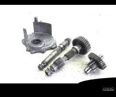 CARTER E INGRANAGGI RUOTA POSTERIORE HONDA SW-T 40 - 1