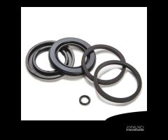 Kit revisione guarnizioni pinza freno Ariete BMW