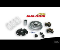 Variatore malossi vespa gts 125 200 250 300