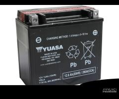 Batteria Yuasa YTX14L-BS acido corredo