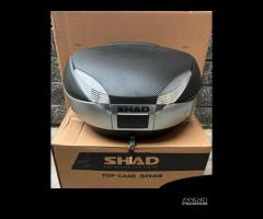 Baule Shad Sh48 cover carbonio + schienalino - 1