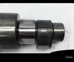 TESTA TESTATA HEAD COMPLETA PEUGEOT SATELIS 250 20 - 10