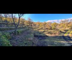 Terreno 3000mq panoramico a Piedimonte Etneo