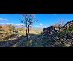 Terreno 3000mq panoramico a Piedimonte Etneo - 4