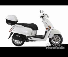 FORCELLA ANTERIORE KYMCO LIKE 2T 50 2009 D10000 - 13