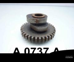 MOTO GUZZI 500 V GTV ASTORE ingranaggio albero Cam