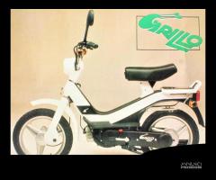 BLOCCO MOTORE ENGINE - MOD: CX1M PIAGGIO GRILLO 50 - 10