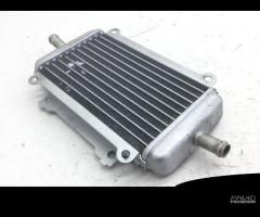 RADIATORE DESTRO SINISTRO PIAGGIO VESPA GTS IE ABS