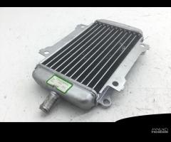 RADIATORE DESTRO SINISTRO PIAGGIO VESPA GTS IE ABS