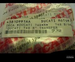 DUCATI 748 coppia adesivi cod. 438 10991AA