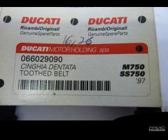 DUCATI MONSTER 750 750 SS 97 cinghia dentata distr