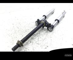 FODERI STELI E PIASTRA INFERIORE BENELLI PEPE 4T 5 - 10