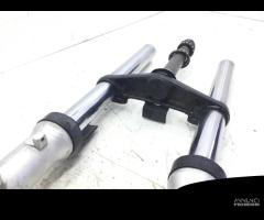 FORCELLA CON PARAPOLVERI DA SOSTITUIRE YAMAHA FZ6 - 6