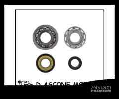 Kit revisione albero motore Piaggio Vespa Et3-Prim