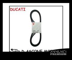 Coppia cinghie originali ducati monster - 1