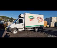 IVECO 65CE4 CON CELLA FRIGO COLD