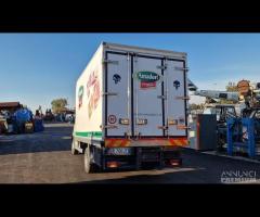 IVECO 65CE4 CON CELLA FRIGO COLD