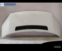 Cofano FORD TRANSIT '06 - 1