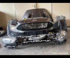 Muso - Musata Completa Per Ford Focus 2017 1.5 TD - 4