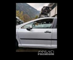 Porta anteriore sinistra Peugeot 407 del 2005 - 1